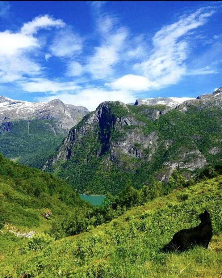 Olden Camping Kültér fotó